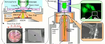 JEOL 新推出環境電子顯微鏡JASM-6200