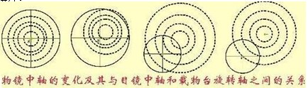 偏光顯微鏡的調節與校正